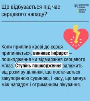 40346-whatsapp_image_2022_09_29_at_14_17_09_1-300×300